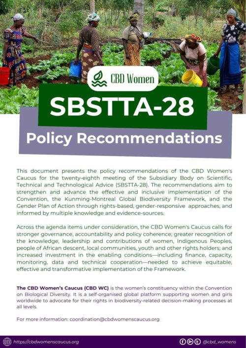 ENG_CBD WC Recommendations SBSTTA 28 cover